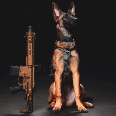 Firearms